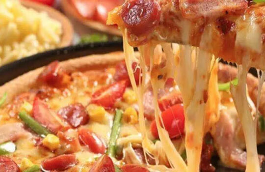 can dogs eat pizza