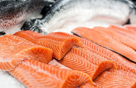 dogs have salmon