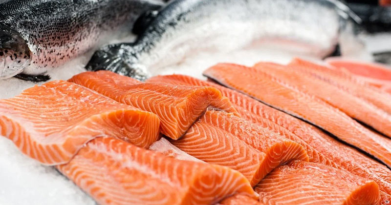 dogs have salmon