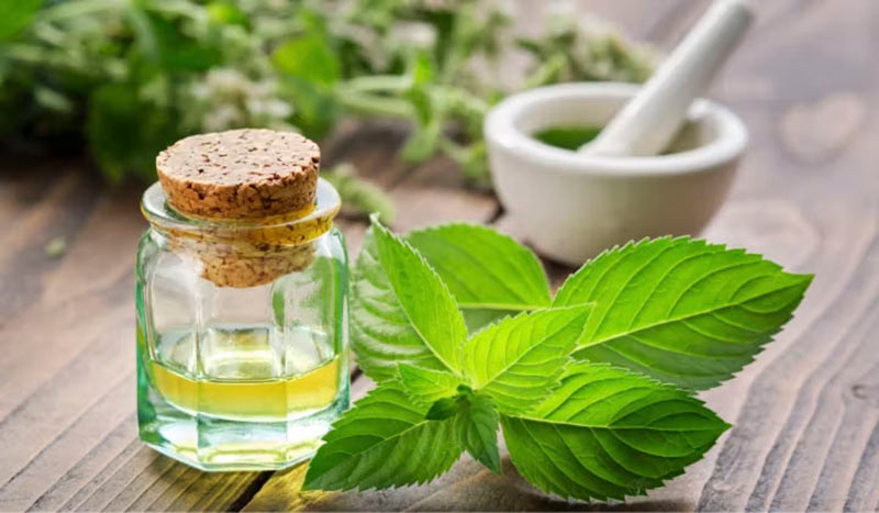 peppermint oil safe for dogs
