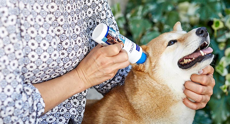 How to Clean Your Dog’s Ears